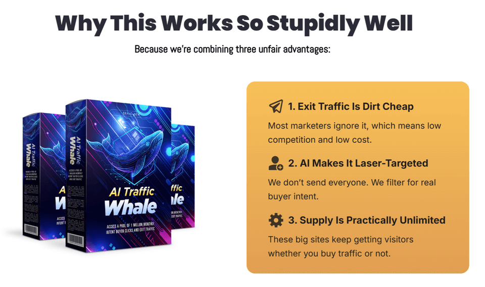 AI Traffic Whale Review
